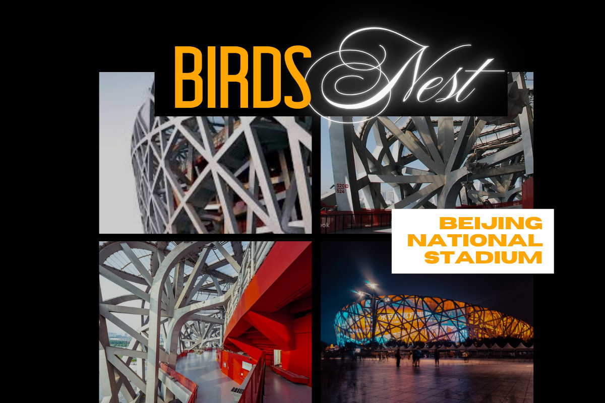 Beijing National Stadium Bird's Nest Steel Design